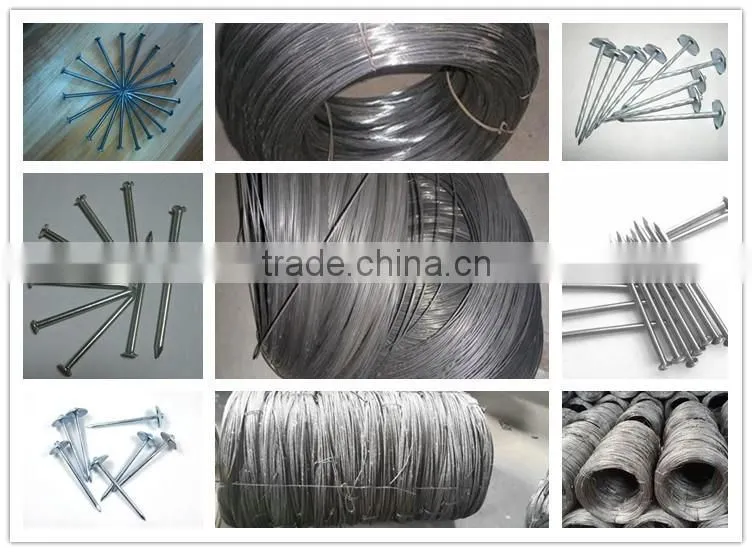 High Quality Factory manufacture Galvanized Iron Wire,galvanized Wire