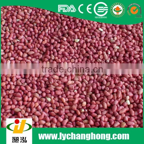 Roasted peanut in shells 2014 new crop