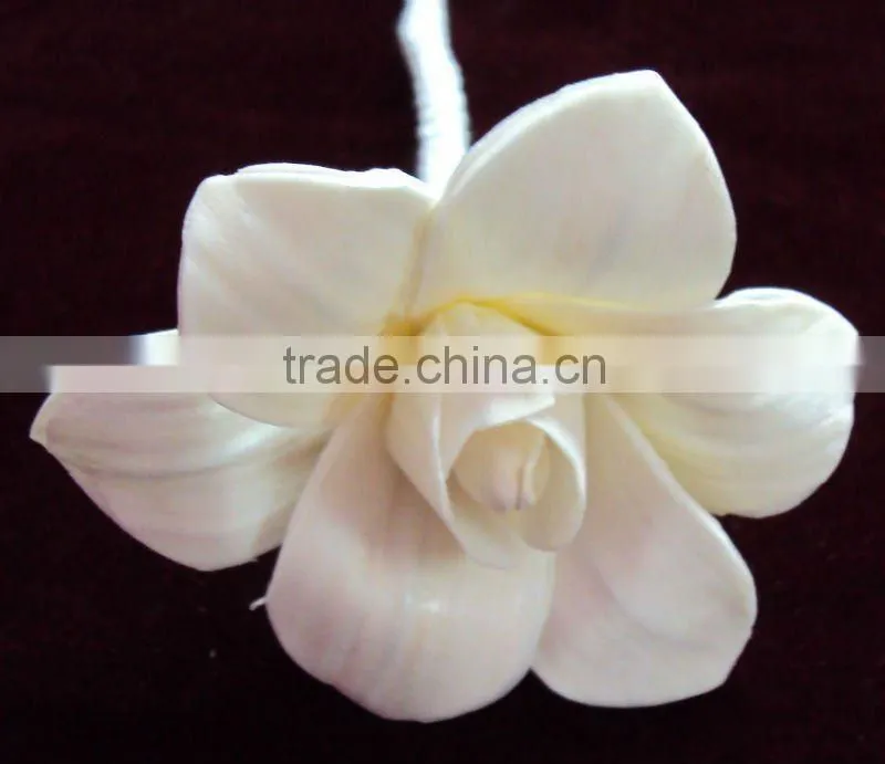 sola Diffuser flower