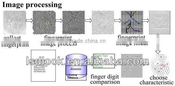 Electronic Fingerprint Indoor Door Lock