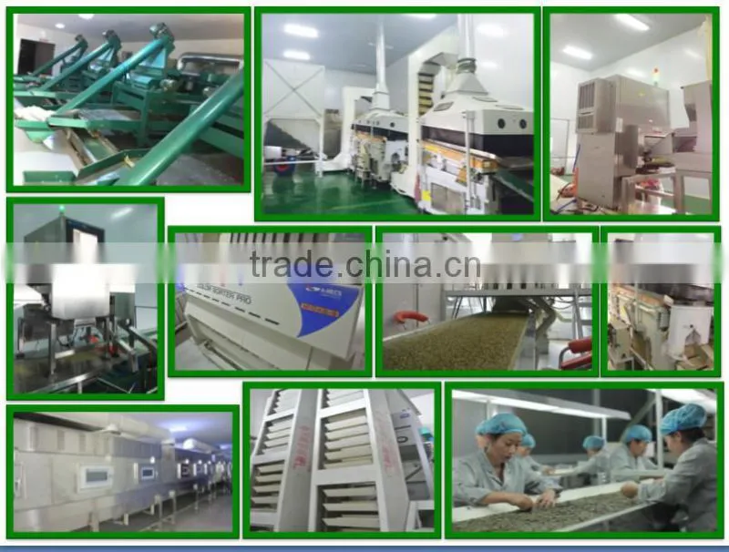 New Crop High Quality Wholesale Pumpkin Seeds /Dark Green Pumpkin Seeds
