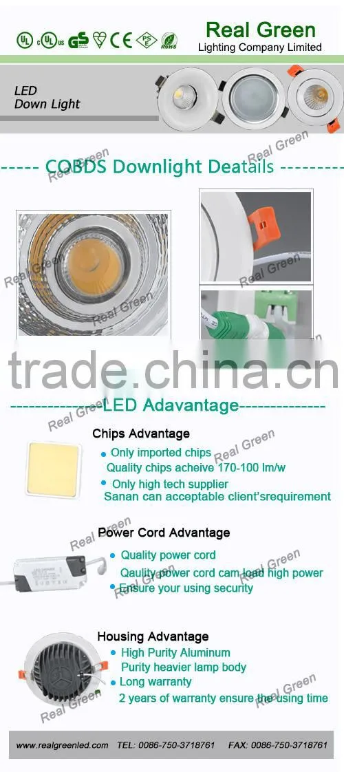 Material PC and Aluminum Alloy COB Down Light Designer unique LED Down Light Spot Light 20WDown Light