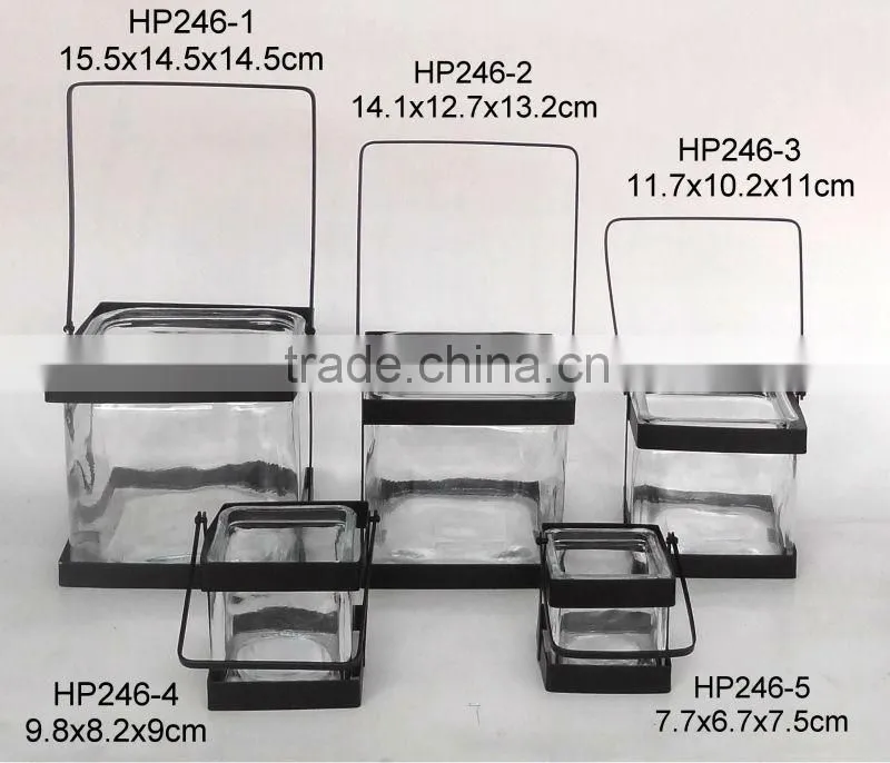 HP246 clear glass flower pot