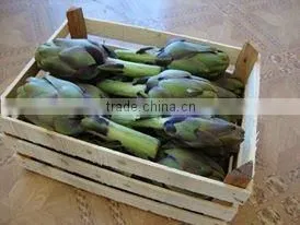 Artichokes