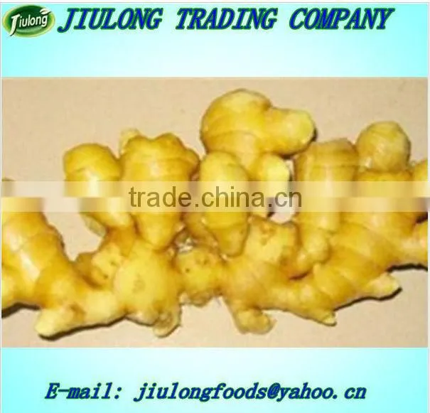 Fresh ginger price price