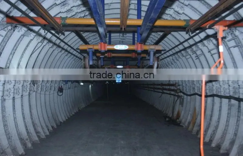 Chinese back support steel brace