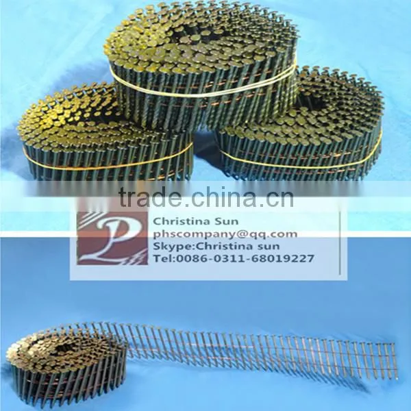 common nial/coil nail/shoe nail/concrete nail/Paper collated nail etc.