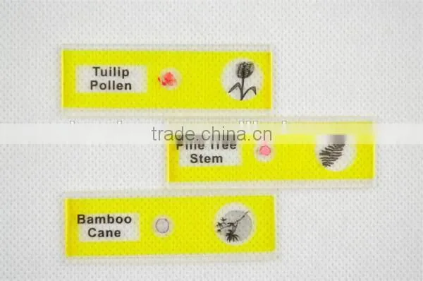 For little child study slides prepared kids plastic slides