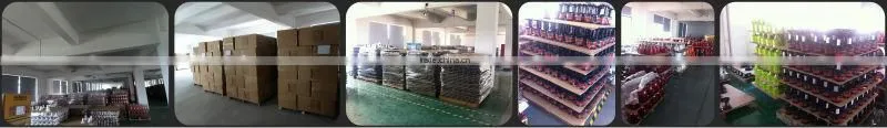 2016 the latest AC motor 43RPM stainless steel housing slow juicer
