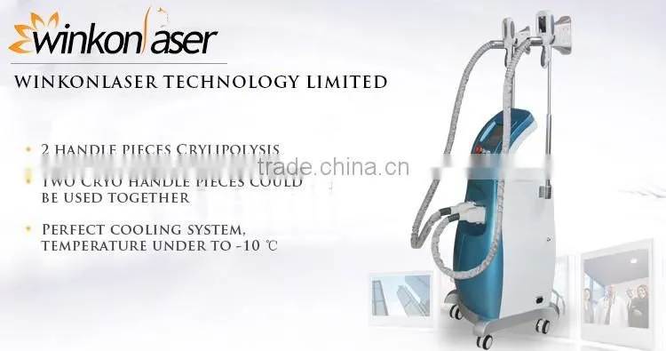 price cryolipolysis / cryolipolysie / cryolipolysis body slimming machine