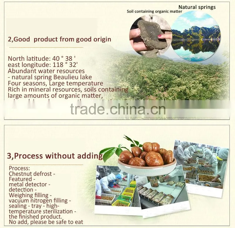 Chinese chestnuts for sale---Best Fresh Chestnut in the world
