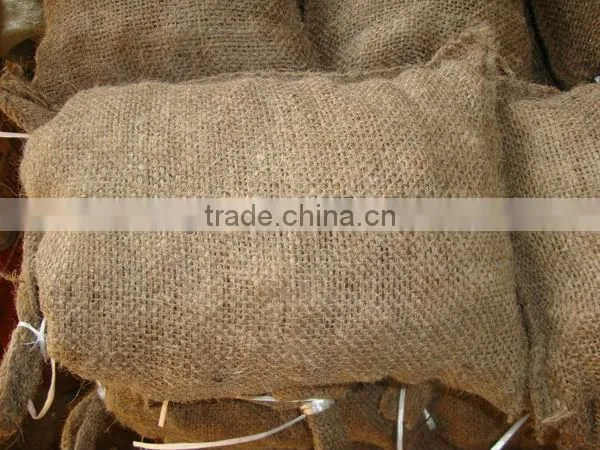 chinese fresh chestnut