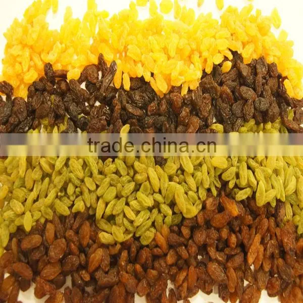 Xinjiang origin kinds of sultanas raisins