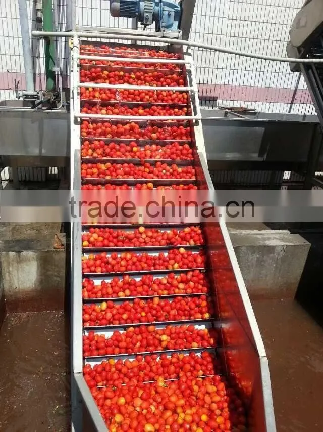 bulk tomato paste in drum chinese crop