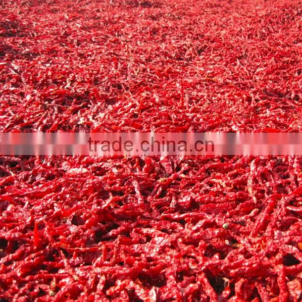 Chinese supplier wholesales export dried red chilli import from china