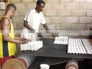 waste paper recycling egg tray machine /egg tray maker
