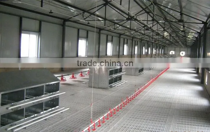 Famous Goldenest Egg Collecting System Layer nesting boxes JC15-MA11