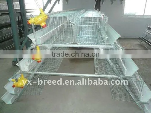 Automatic Poultry Equipment for 20000 birds farm sale