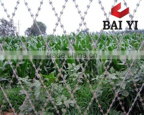 Hot Dipped Welded Razor Barbed Wire Mesh