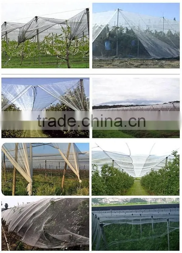 high quality hail guard net/plastic hail protection mesh/anti hail net