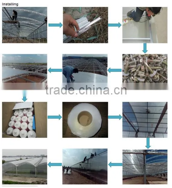 orchid greenhouse/glass greenhouse for sale/greenhouse agriculture