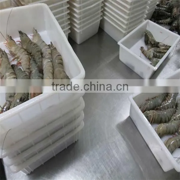 hgh quality frozen headless black tiger shrimp