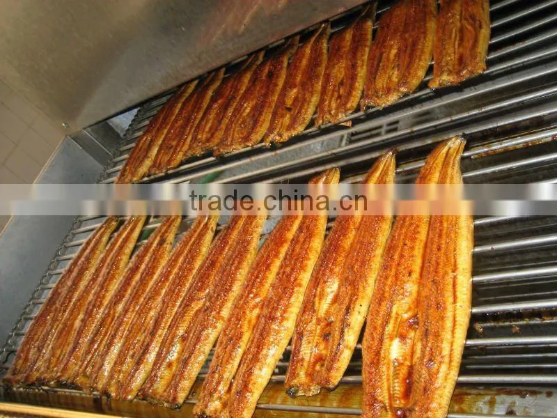 roasted eel