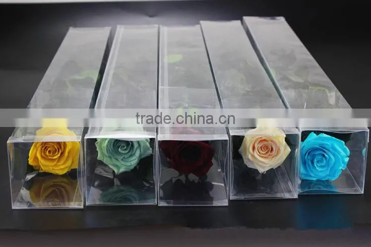 Fresh Cut Flowers Roses Long Lasting Big Rose Flower With Stem