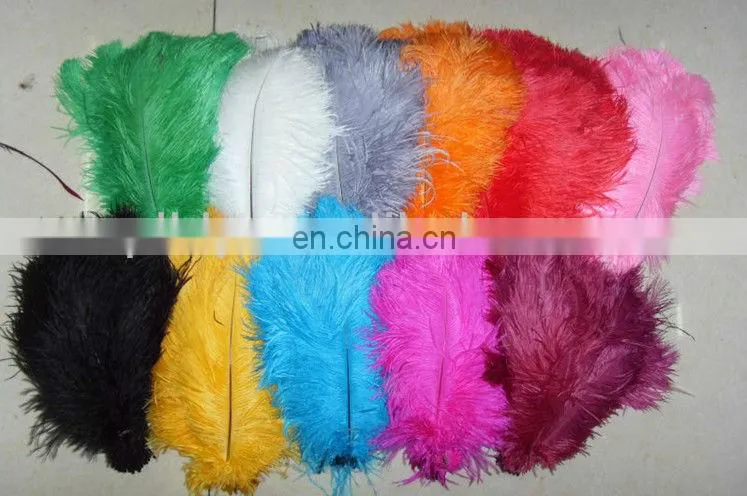 pheasant colorful feather, chicken feather