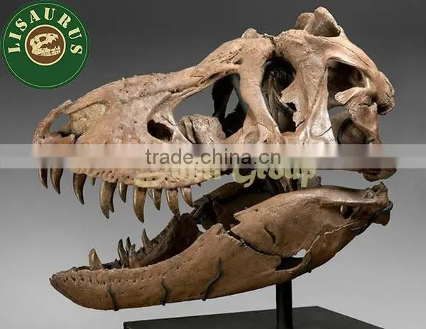 Lisaurus-LA Artificial dinosaur skull for theme park