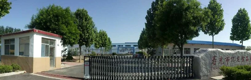 Shouguang Yilong Food CO.,LTD company overview - view 1