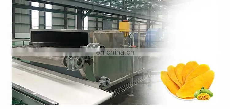 Automatic dry/dried/drying fruit plant machine processing line manufacturer