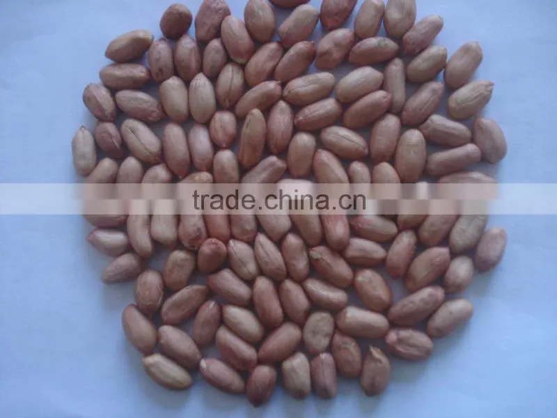 Good peanut kernel 24/28 in the2014