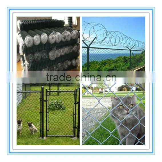 Cheap Galvanized chain link fence