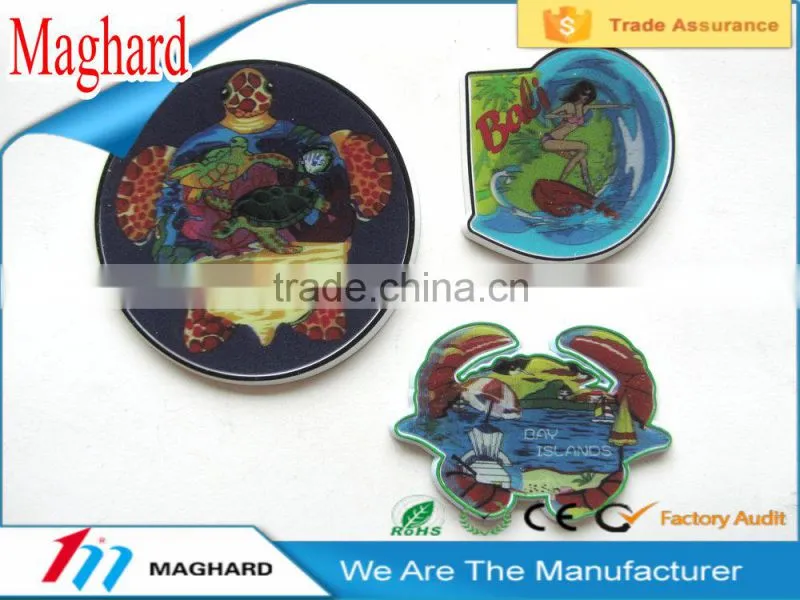 new special 3D effect polyresin fridge magnet promotion