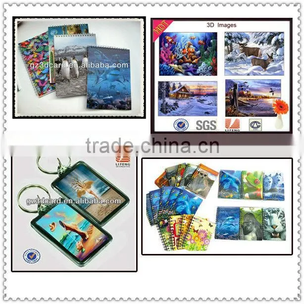 Guangzhou lifeng Handmade card 3d card,mp3 video cards