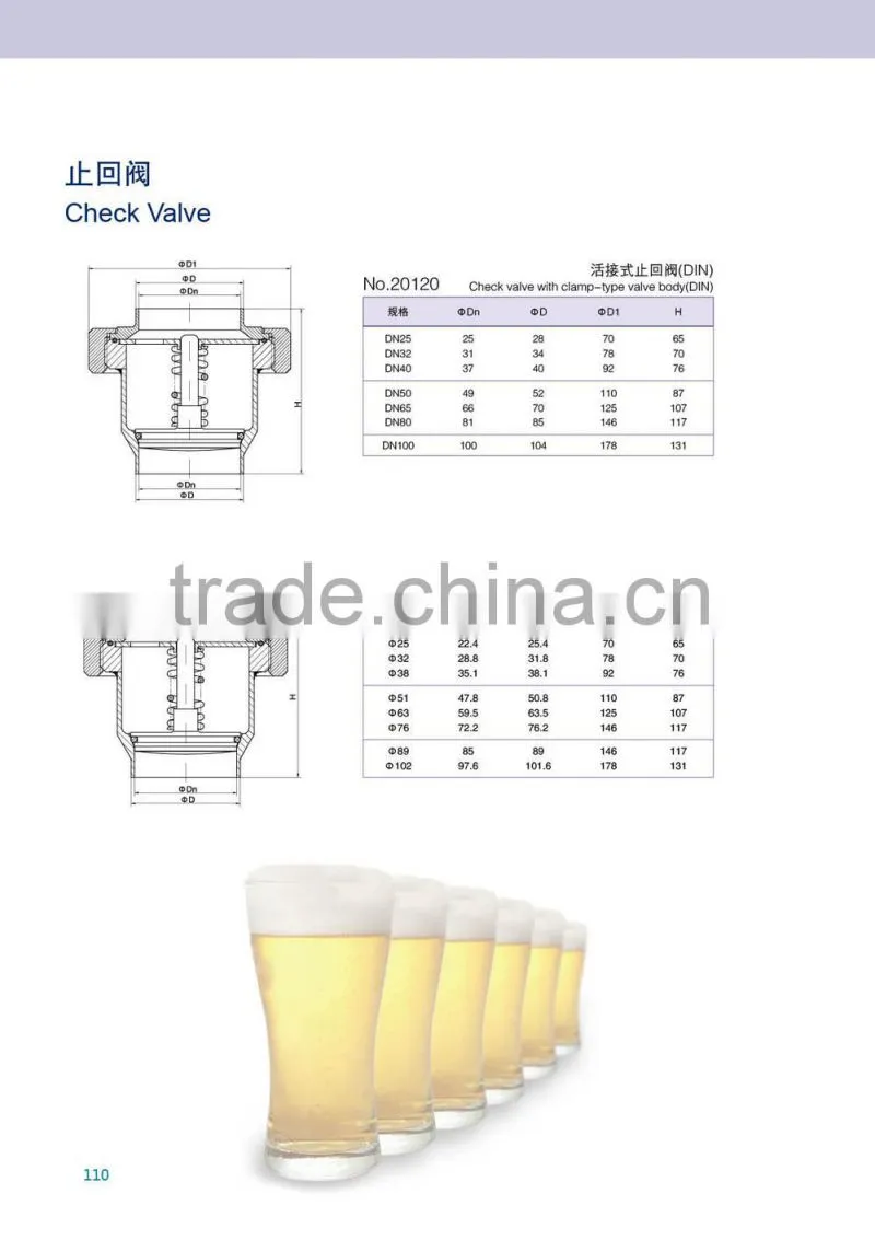 Stainless steel check Valve