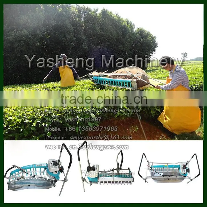 Hot Sale Two-man Tea Harvesting Equipment for Sale