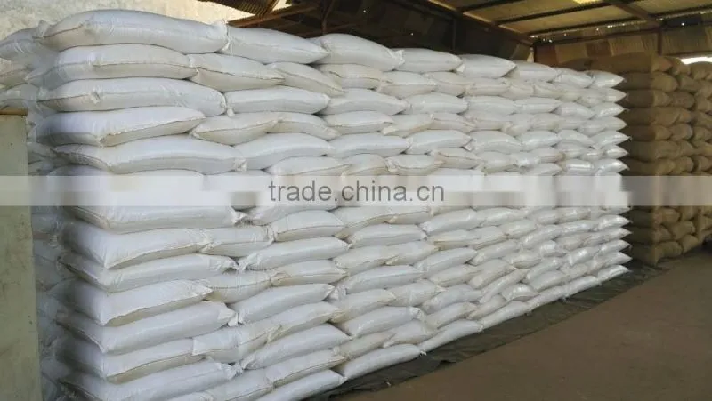 CASSIA TORA SEED BOLD QUALITY FROM INDIA