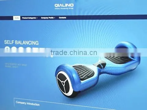 Guangzhou Qialino Trading Co., Ltd. company overview - view 1