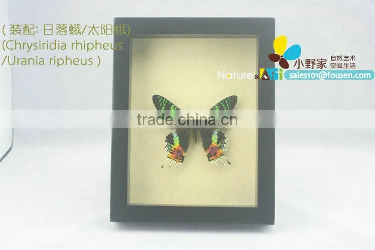 FOUSEN(017) Nature& Art natural species gifts for elderly
