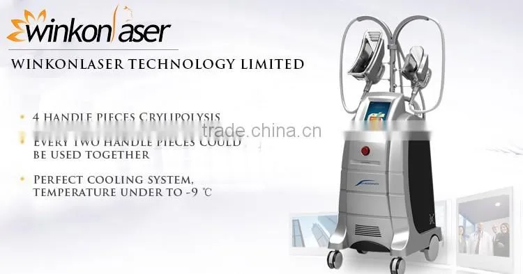 Cryolipolysis Beauty Salon Equipment / Fat Freezing Beauty Salon Equipment / Lipo Cryo