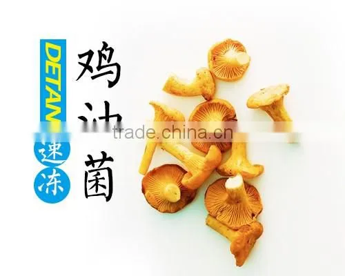frozen chanterelles best price