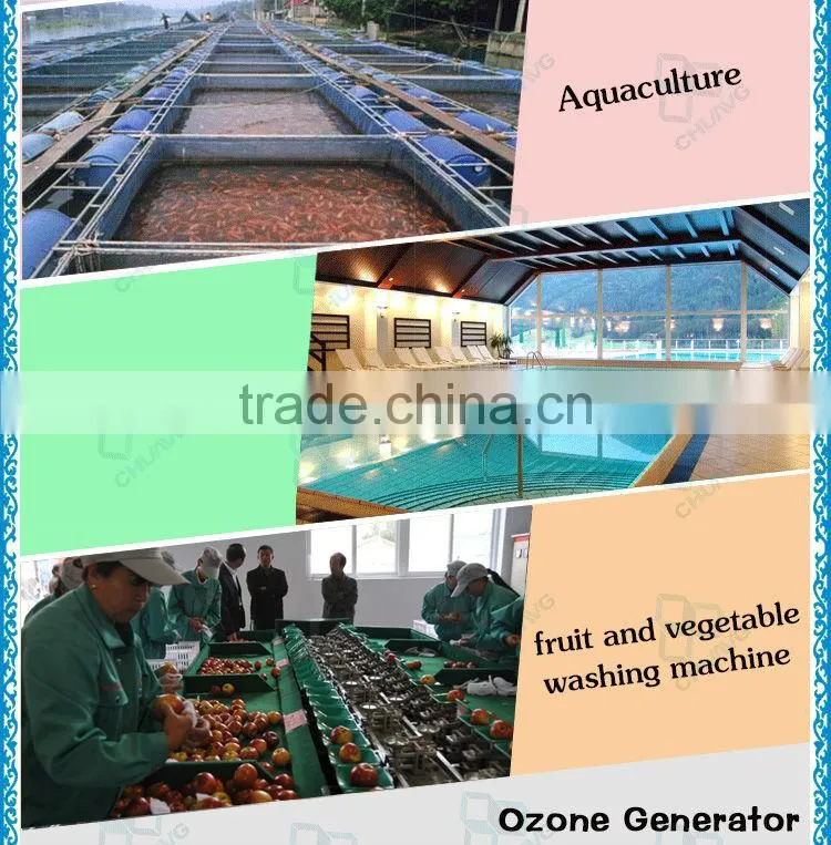 60G enamel water cooling ozonator cell for water treatment