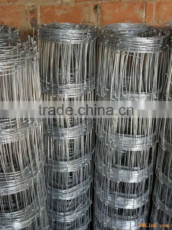 Electro Galvanized grassland fence - factory