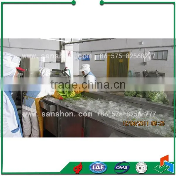 Washing Machine for Leafy Vegetables Washing Machine Food Washing