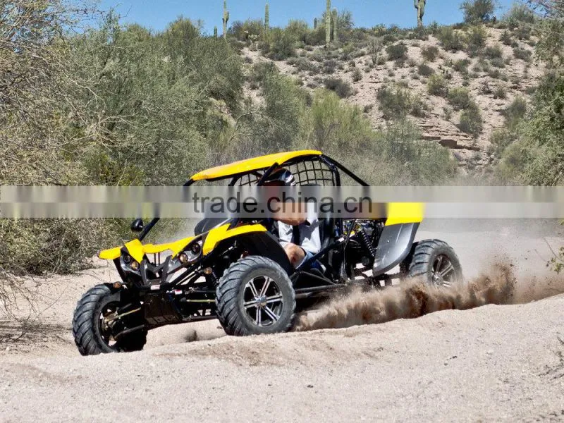 renli 1100cc desert cart from China