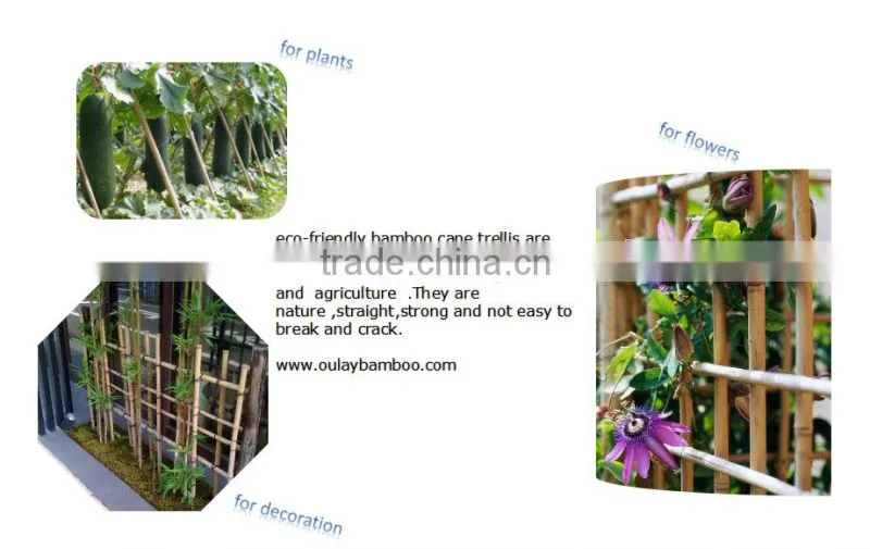 Bamboo Expanding Trellis For Swimming Poor Decoration