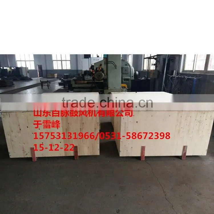 two lobes roots blower BMSR type