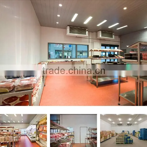 china commercial freezer for fish and chicken